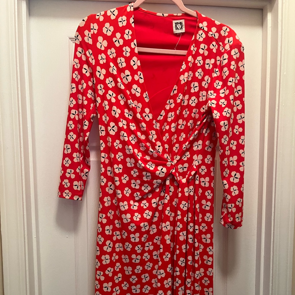 Nice Little Dress For A Great Occasion! Dressy But Can Be Casual Too!